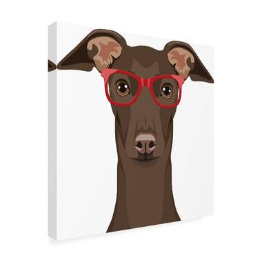 Italian greyhound clearance items